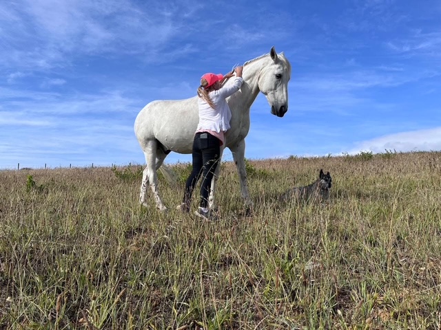 equinefasciatraumarelease