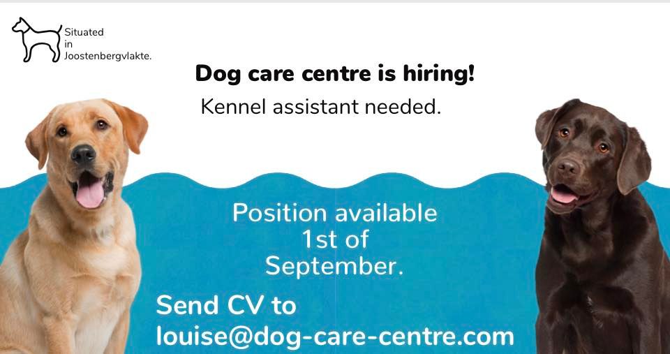 Dog deals care centre